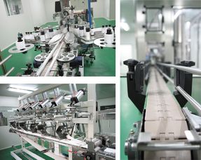 论一个橙子的自我修养